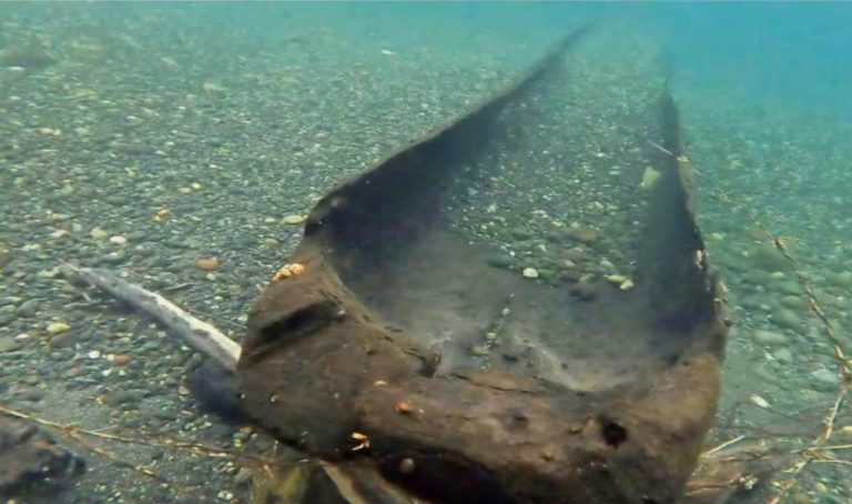 Legado ancestral en río Bueno: Hallan canoa mapuche con 300 años de historia