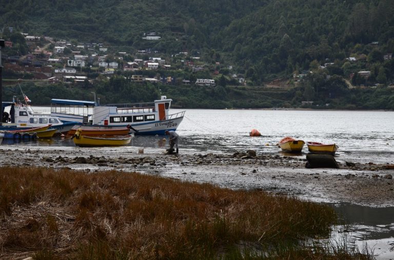 Presentan hallazgos de investigación sobre prácticas lectoras en Isla del Rey