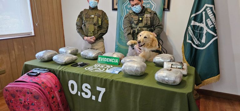 Más de 13 kilos de drogas decomisó Carabineros del OS7 Valdivia