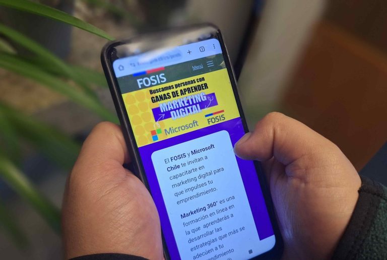 Atención Los Ríos: El FOSIS y Microsoft Chile abren inscripciones para capacitarse en marketing digital