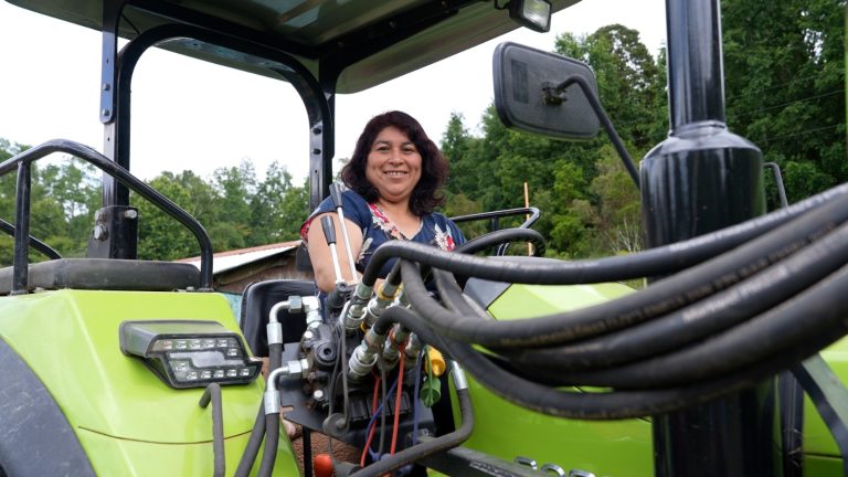 El tractor y la seleccionadora de papas que impulsan a la Cooperativa Auka Mapu con apoyo de INDAP y el GORE