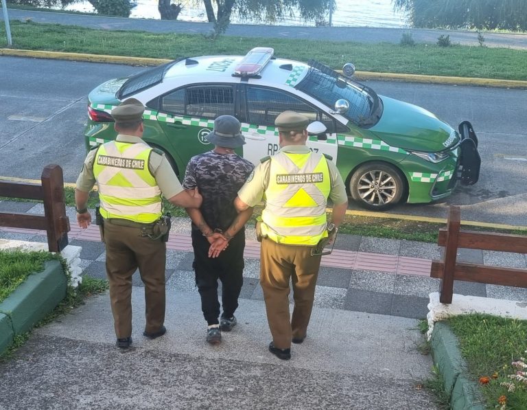 En balance semanal Carabineros de Los Ríos informó baja en delitos de mayor connotación, además de VIF y abigeato