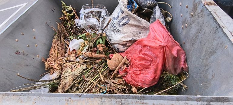 Denuncian hallazgo de restos humanos en la basura del Cementerio Católico de La Unión