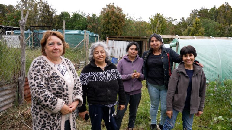 Agrupación de Mujeres Renacer con Newen de Curiñanco cuenta con nuevo equipamiento agrícola