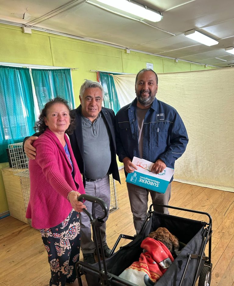 Futrono da un gran paso hacia el bienestar animal con la esterilización de más de 800 mascotas