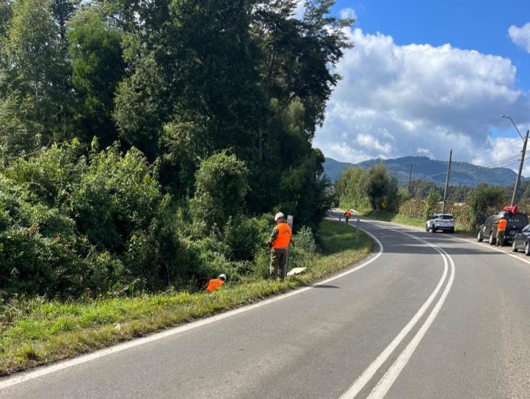Hallan cuerpo en sector El Arenal durante búsqueda de hombre desaparecido en Valdivia