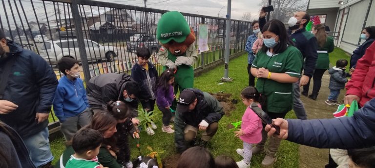 CONAF Los Ríos habilita postulaciones para programa de arborización