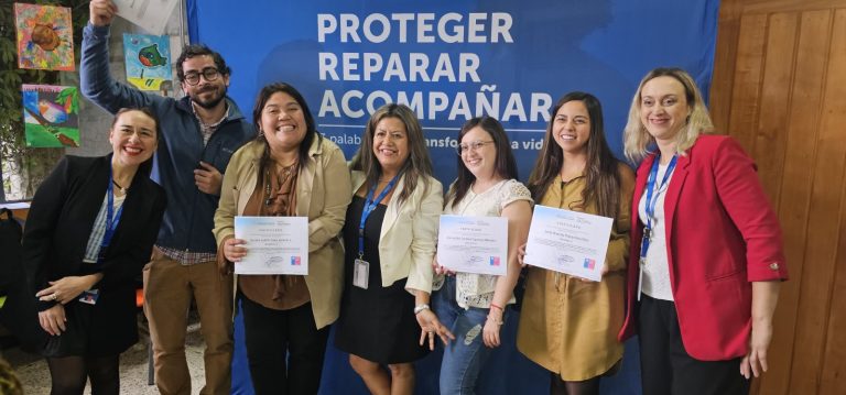 Profesionales de la red de protección especializada de Los Ríos realizan proceso de formación técnica