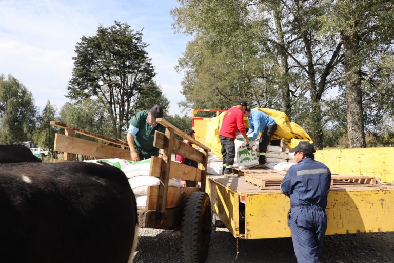 INDAP entrega más de 65 mil kilos de insumos a 212 familias campesinas de Río Bueno