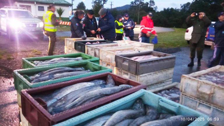 Incautan cerca de 2.500 kilos de pescados sin acreditar origen legal en control en La Unión