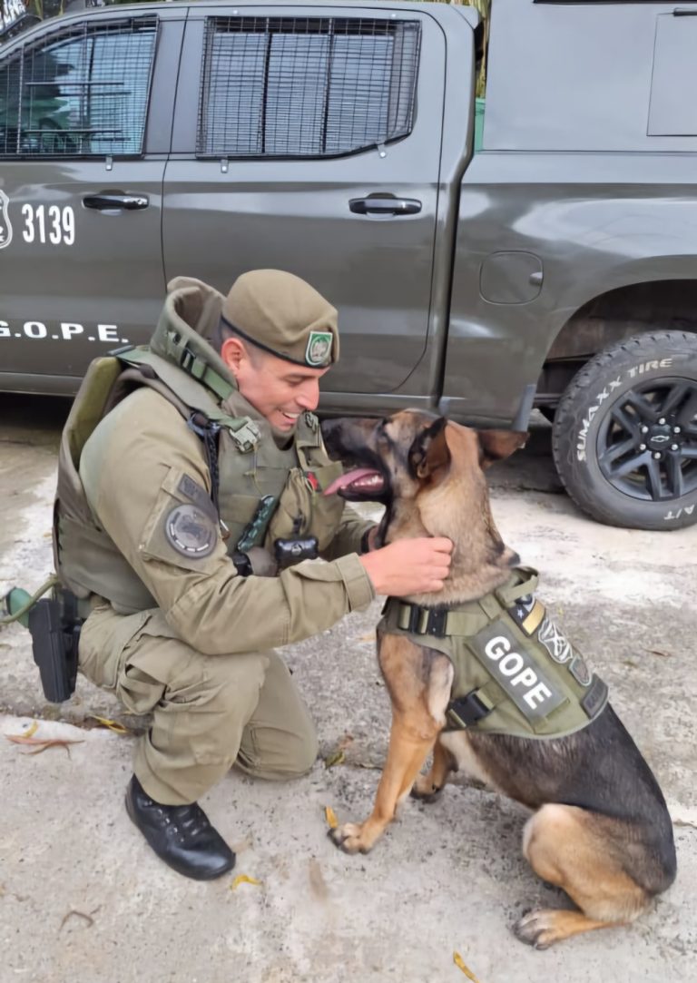 Llegó can detector de explosivos al GOPE Los Ríos