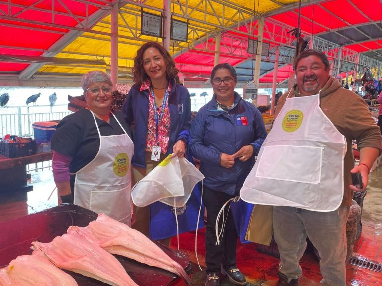Seremi de Salud refuerza llamado a un consumo seguro de pescados y mariscos en Semana Santa