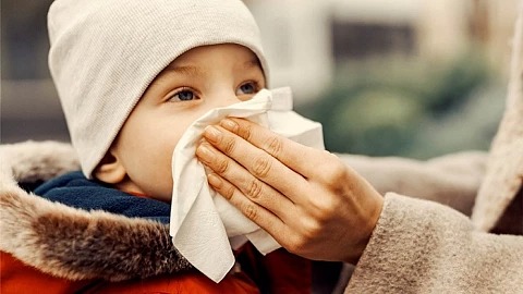 Rinovirus e Influenza son los principales virus que circulan en la región