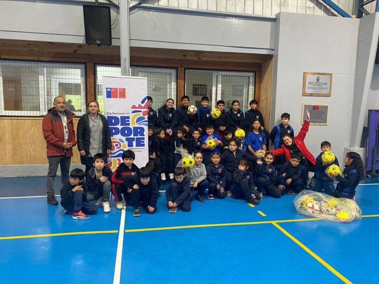 Escuelas de Puerto Fuy y Llonquén cuentan con nueva implementación deportiva