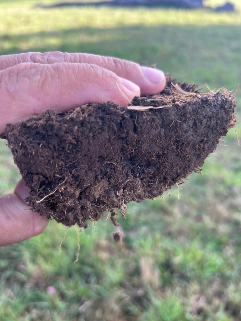 El suelo, ese organismo con historia