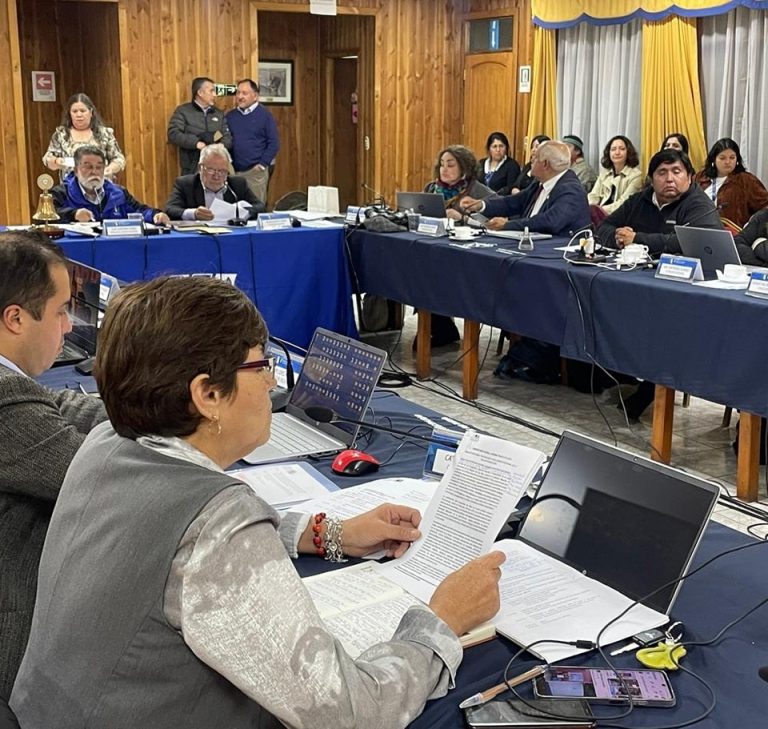 Aprobado por unanimidad en Los Ríos: inédito programa de salud intercultural ofrecerá acceso en las 12 comunas