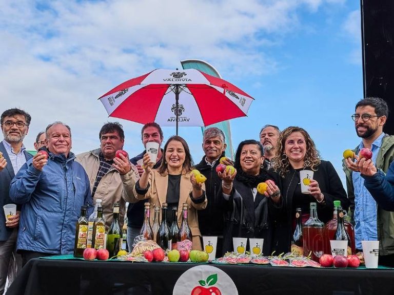 Consejo Regional aprobó financiamiento para la 2ª versión de la Fiesta de la Manzana y la Sidra