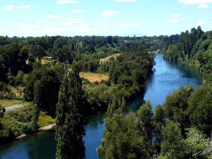Bomberos buscan a persona desaparecida tras naufragio de embarcación en desembocadura del río Bueno