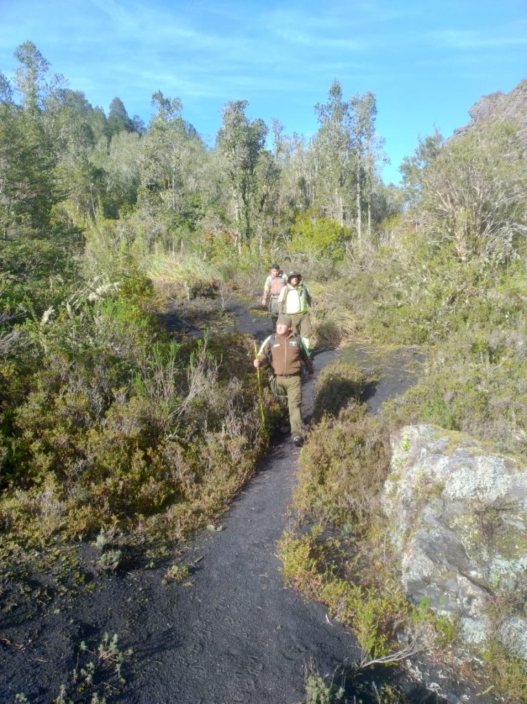 Rescatan con vida a hombre extraviado en zona precordillerana de Lago Ranco