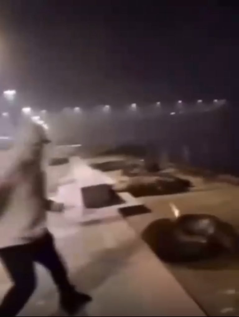 Fiscalía de Los Ríos confirma detención de hombre que lanzó fuego artificial a lobos marinos en Valdivia