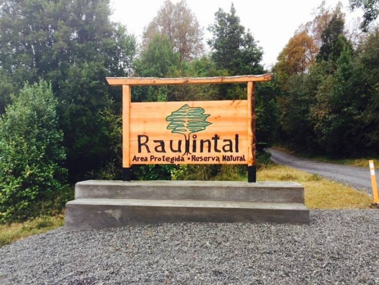 Territorio en disputa: la batalla legal entre los Henríquez y los San Martín junto al Alerce Costero