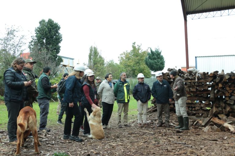 Valdivia da inicio a nuevo ciclo de fiscalización de leña: herramienta clave en la lucha contra la contaminación atmosférica