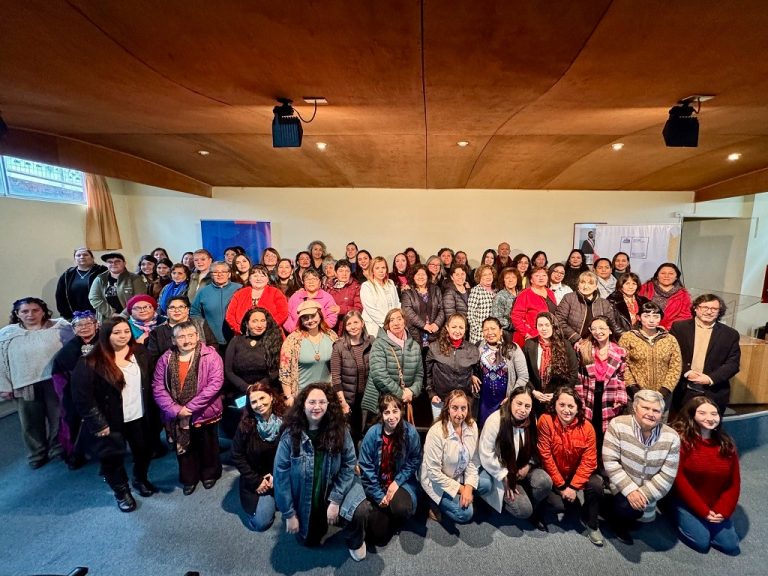 Catálogo Mujeres Creadoras destaca a 120 artistas, cultoras y gestoras de Los Ríos