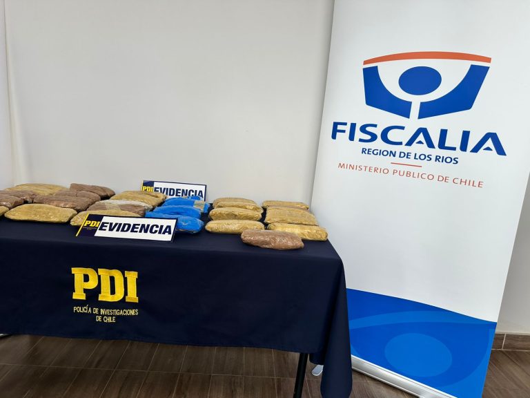 Investigación de Fiscalia y PDI permite detención de dos extranjeros que transportaban 28 kilos de cocaína base a Valdivia