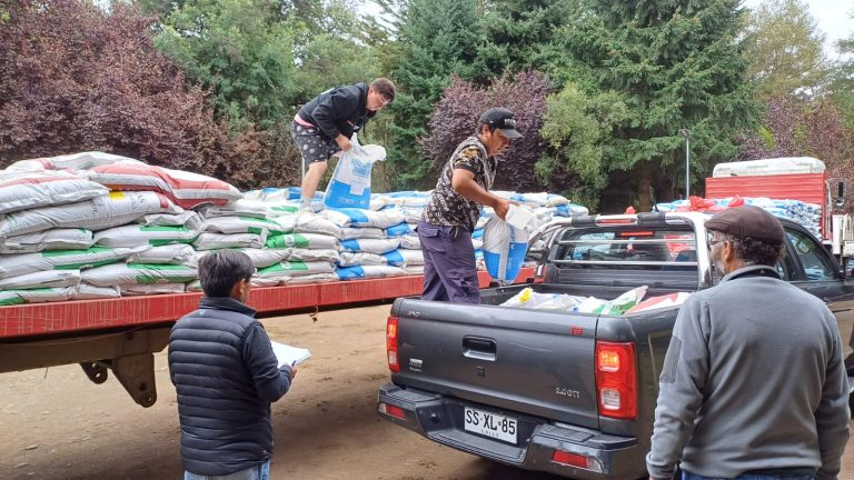 Más de 1.800 familias campesinas reciben apoyo de INDAP con praderas suplementarias para enfrentar el invierno