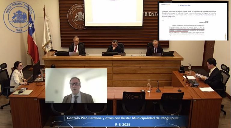 Tribunal Ambiental revisa reclamación contra municipio de Panguipulli por declaratoria de humedales rurales