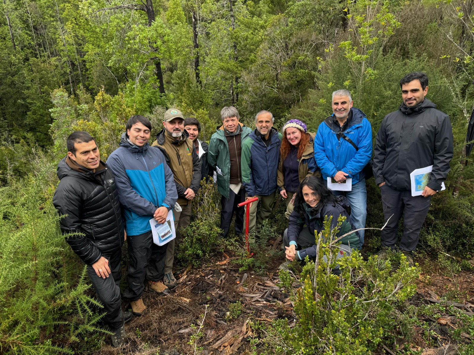 CONAF celebra 55 años de compromiso con los bosques y la biodiversidad ...