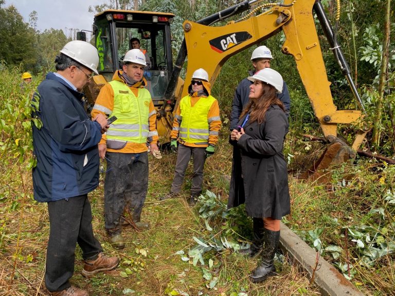 Seremi de Energía llama a las empresas eléctricas a activar sus planes de emergencia ante frente de mal tiempo en Los Ríos