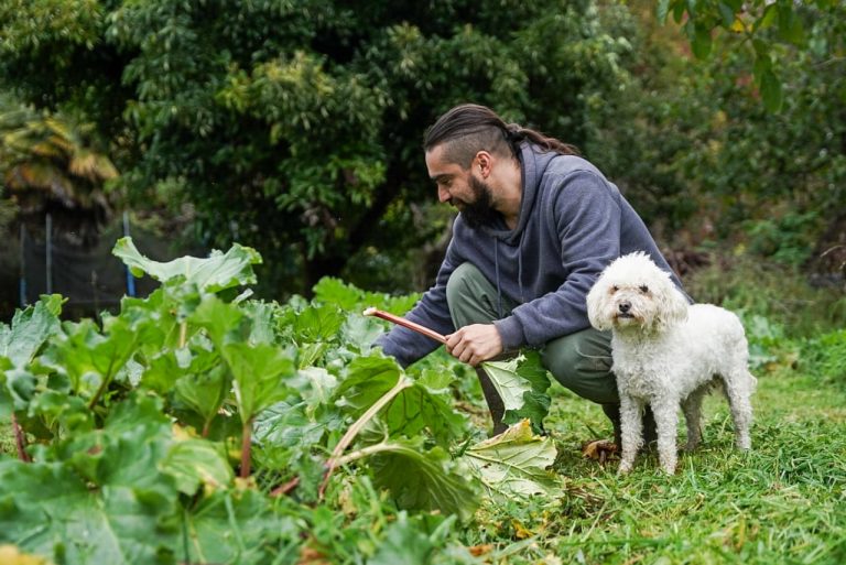 Programa “Mi Primer Negocio Rural” impacta en el emprendimiento juvenil del campo en Los Ríos