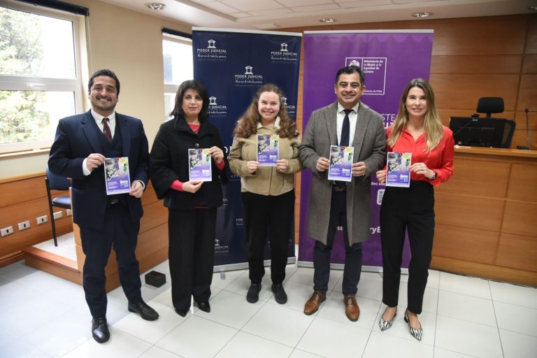 Ley Papito Corazón: A dos años de su implementación se ha ordenado el pago de más de 81 mil millones de pesos en Los Ríos 