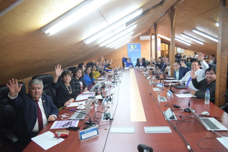 GORE aprobó recursos para tres iniciativas excepcionales y emergentes de carácter social, deportiva y cultural