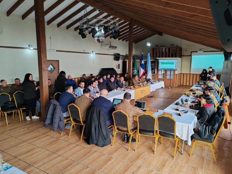 Baja del 3,3% en delitos de mayor connotación social informó nueva sesión STOP