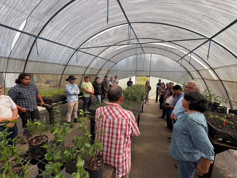 Las cooperativas y la asociatividad siguen en alza