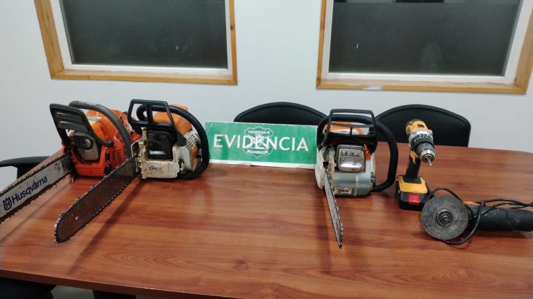 Carabineros de Neltume detienen a sujeto por receptación y desacato en operativo nocturno
