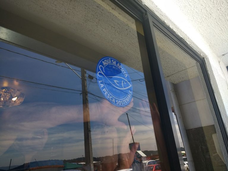 Ya se encuentra abierta la convocatoria 2025 para obtener el Sello Azul de Sernapesca