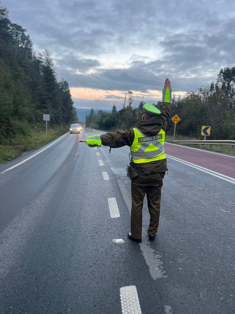 Durante el mes de mayo: Carabineros cursa 110 infracciones gravísimas en la Ruta T-206