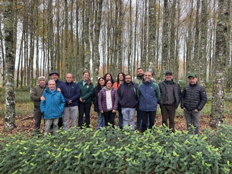 CONAF y Colún refuerzan alianza para conservar especies nativas en la región de Los Ríos