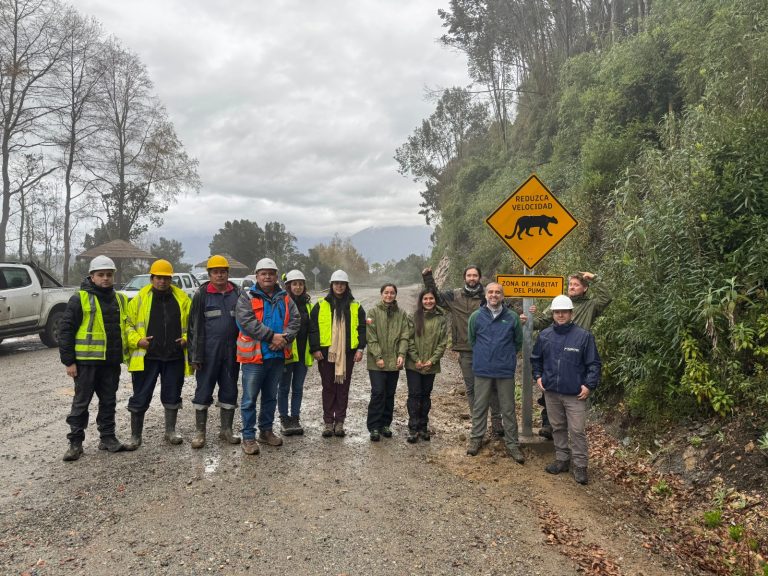CONAF instala primeras señaléticas para proteger fauna silvestre en camino hacia la Reserva Mocho Choshuenco