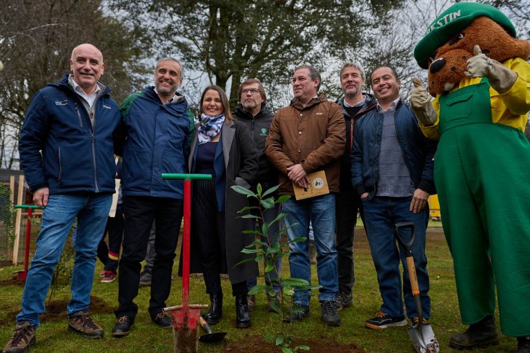 Municipio de Valdivia, CONAF y FAO impulsan el enriquecimiento del bosque de tres parques urbanos