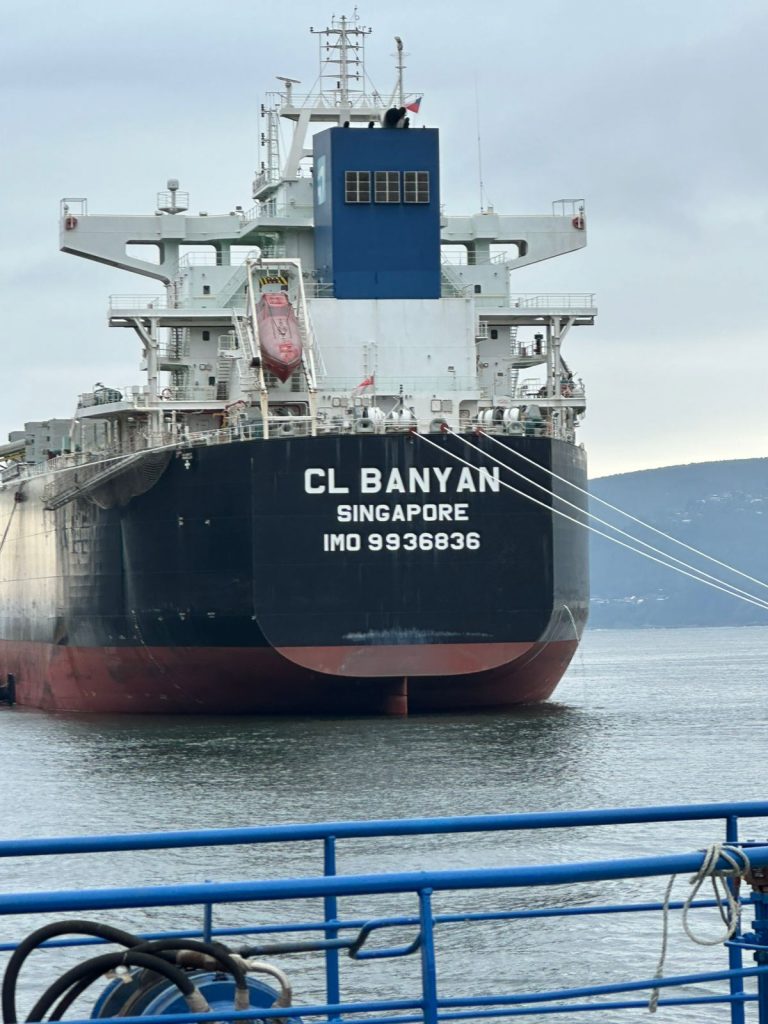 Inspeccionan nave proveniente de China en Puerto de Corral