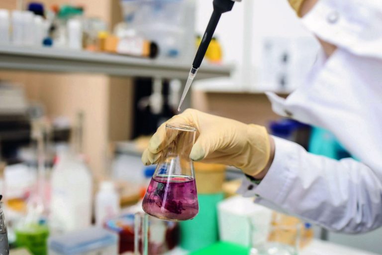 Aprueban modificación legal que impide a deudores de pensiones alimenticias recibir financiamiento de ANID