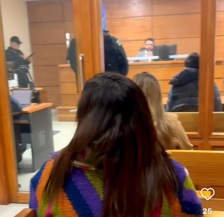 Fiscalía formaliza por homicidio a conductor que causó muerte de amigo en Valdivia