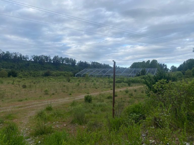 Consejo de Monumentos Nacionales detiene parcialmente proyecto salmonero en río San Pedro por daño a patrimonio paleontológico