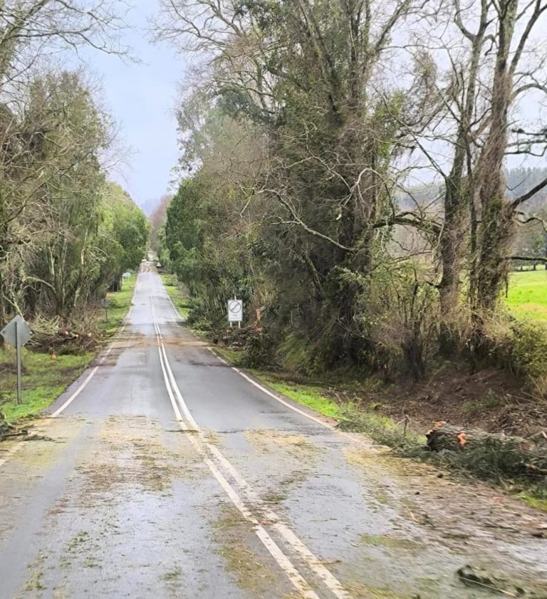 Ministerio de Agricultura recuerda disponibilidad de los seguros agropecuarios con subsidio estatal