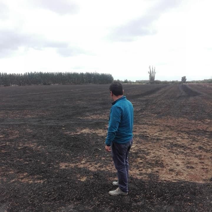 Día Internacional de la Conservación del Suelo: del cuidado a la regeneración