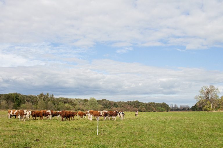 Pequeños agricultores y comunidades indígenas se capacitan para mejorar la productividad de sus predios